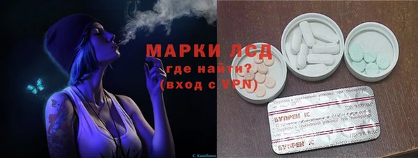 спайс Алзамай