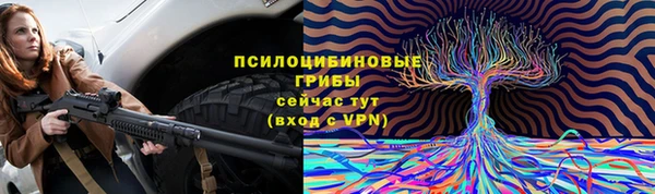 а пвп мука Алексеевка